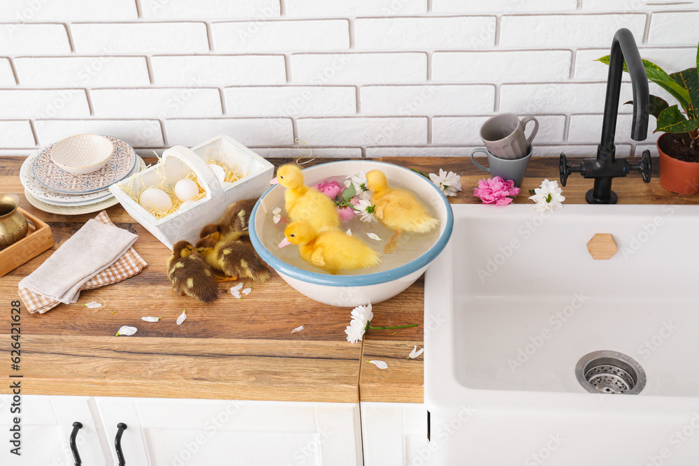 Bowl with water and cute ducklings in kitchen