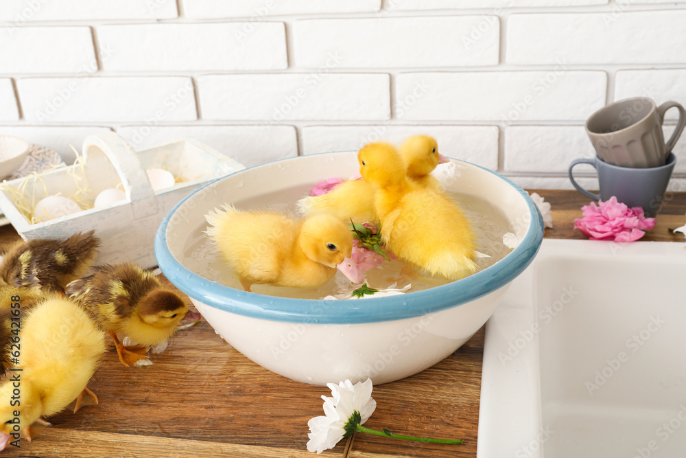 Bowl with water and cute ducklings in kitchen