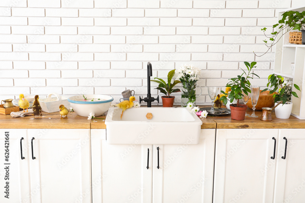 Bowl with water and cute ducklings in kitchen