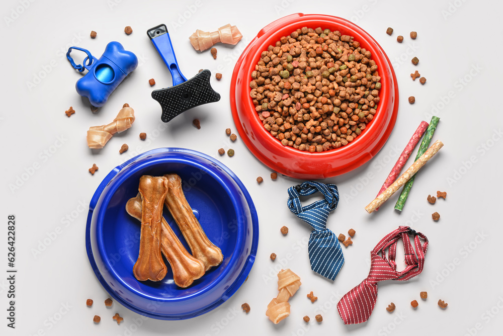 Composition with different dog food and accessories on light background