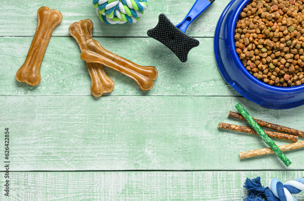 Dog food and accessories on color wooden background