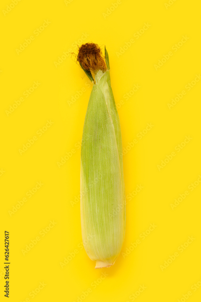 Fresh corn cob on yellow background