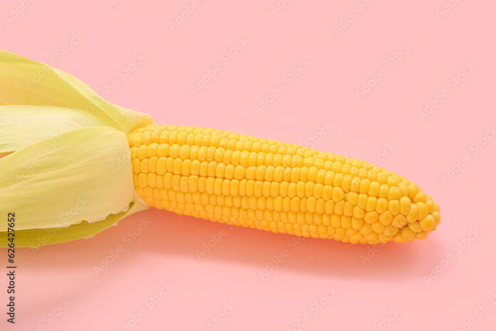 Fresh corn cob on pink background