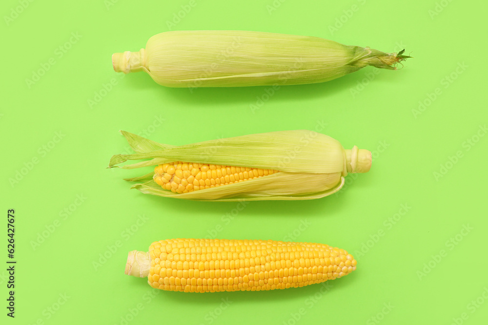 Fresh corn cobs on green background