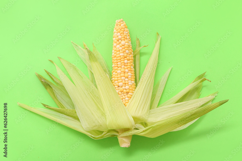 Fresh corn cob on green background