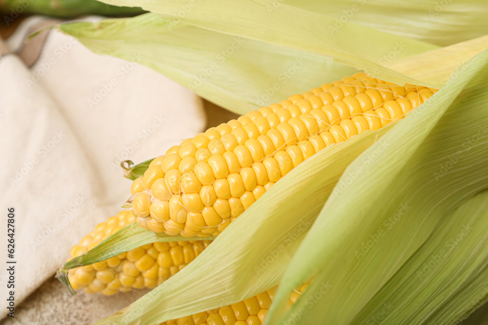 Fresh corn cobs on white table, closeup