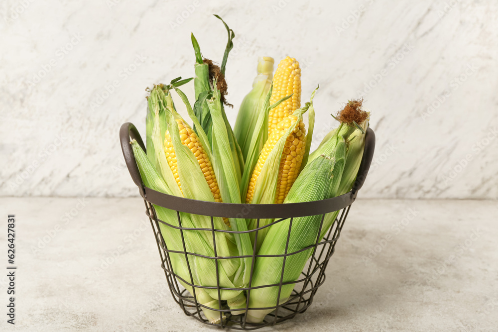 Basket with fresh corn cobs on white background