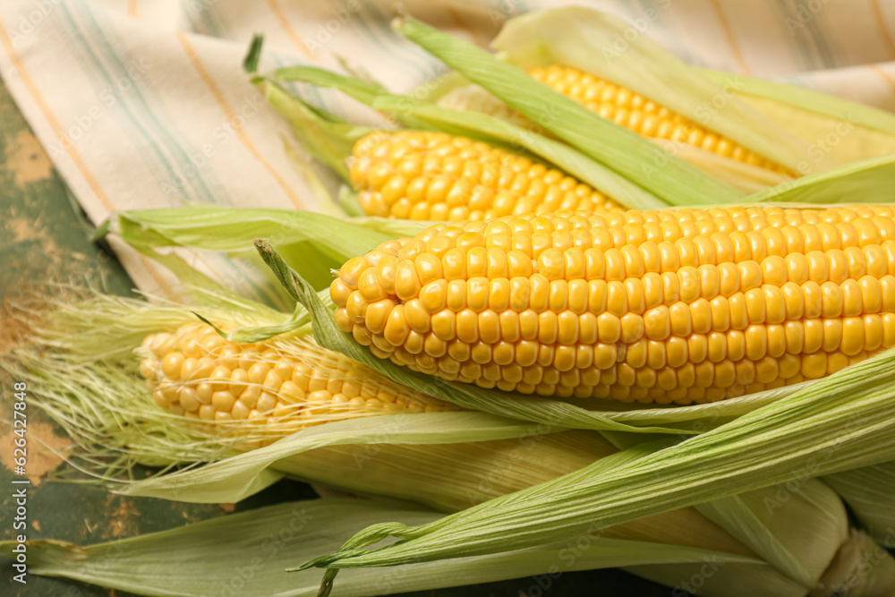 Fresh corn cobs on green background