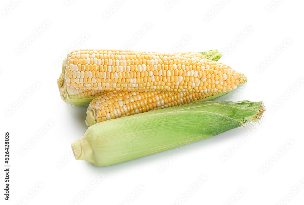 Fresh corn cobs on white background