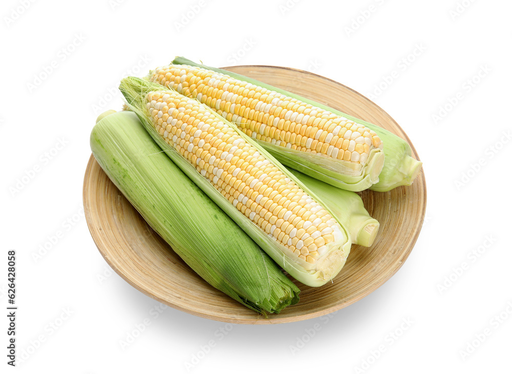 Plate with fresh corn cobs on white background