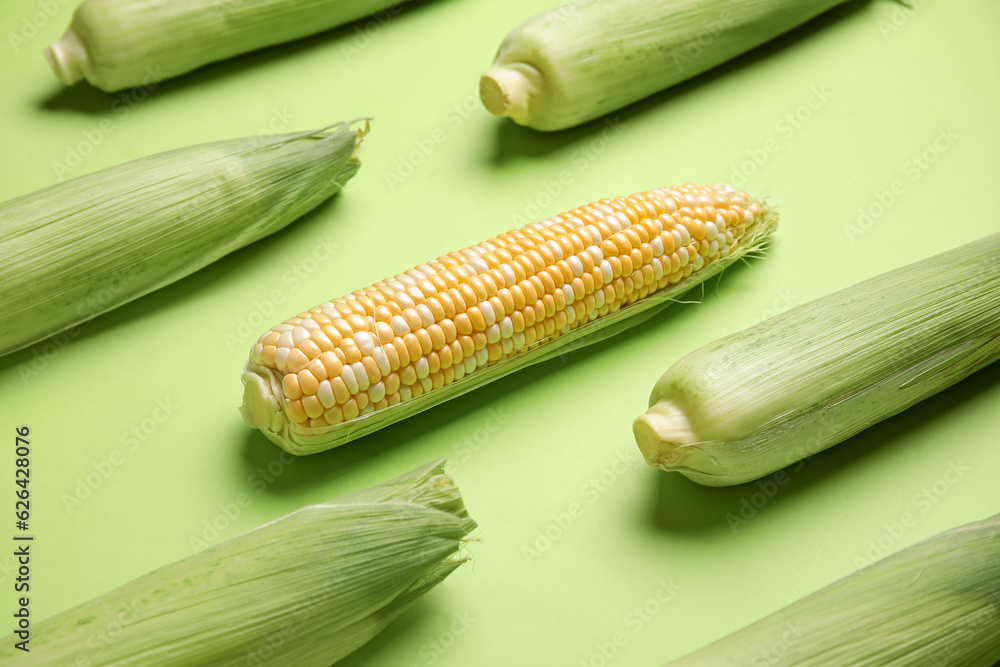 Fresh corn cobs on green background