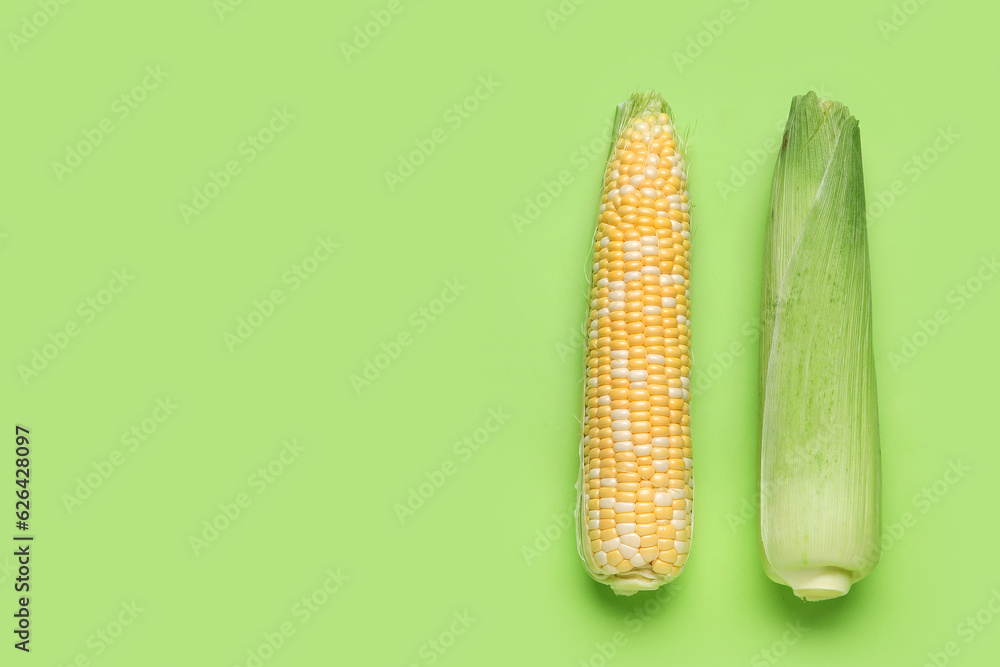 Fresh corn cobs on green background