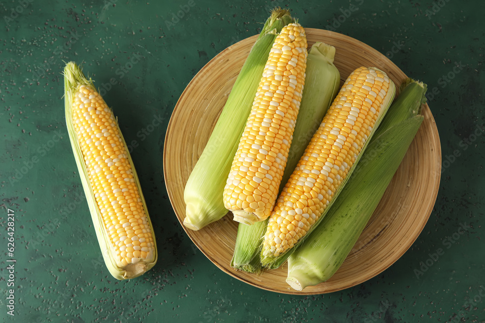 Plate with fresh corn cobs on green background