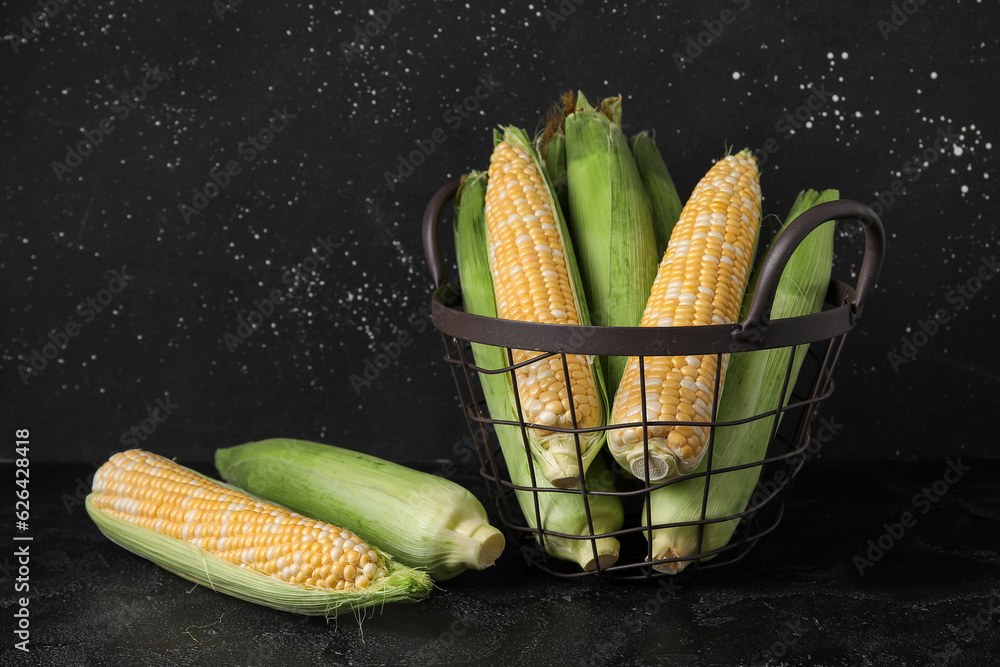 Basket with fresh corn cobs on black background