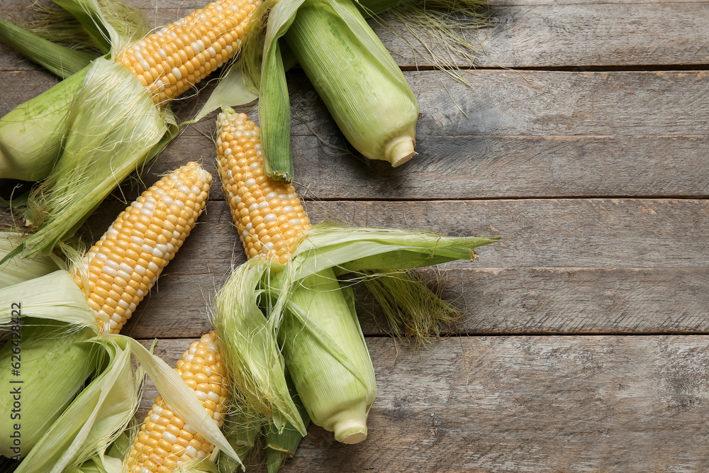 Fresh corn cobs on wooden background