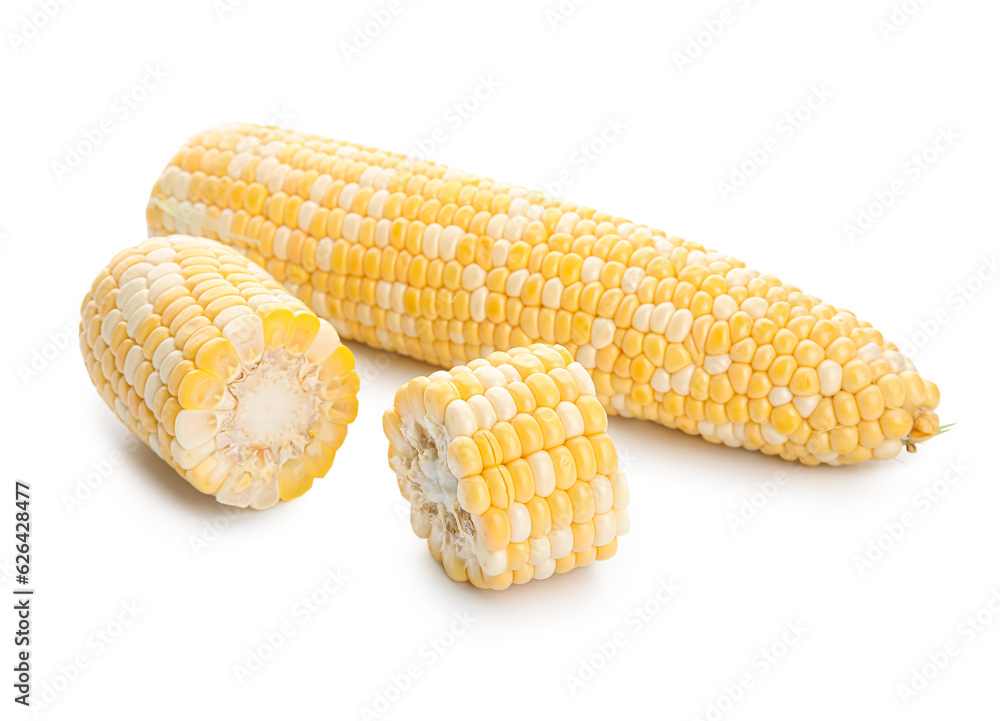 Fresh corn cobs on white background