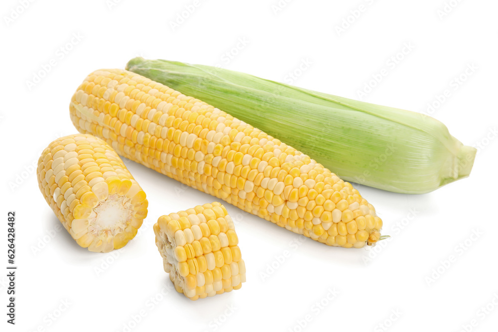 Fresh corn cobs on white background