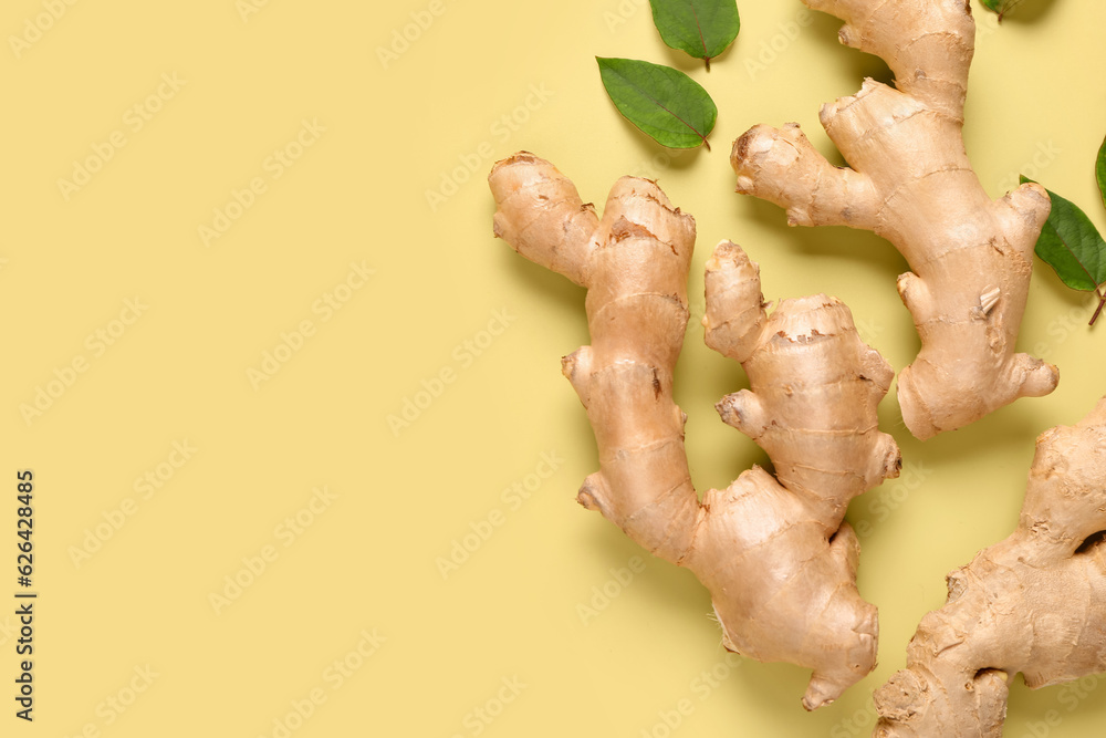 Fresh ginger roots and leaves on yellow background