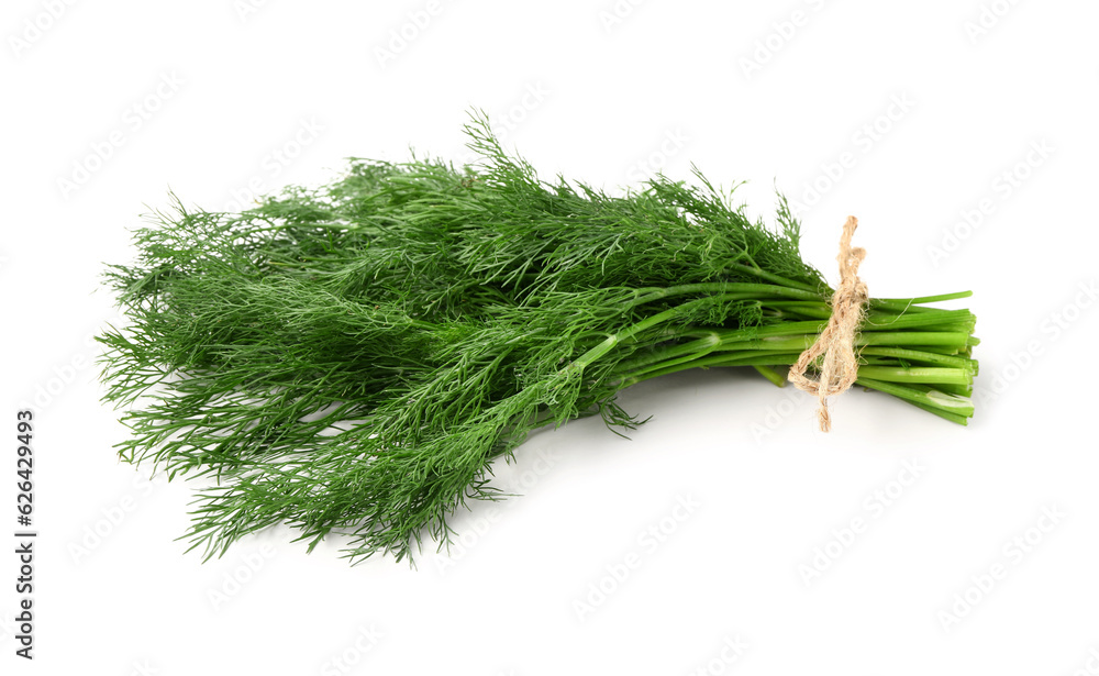 Bunch of fresh dill on white background