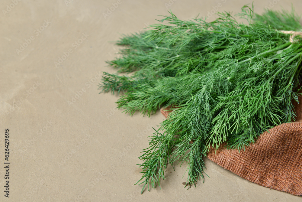 Fresh dill on grey background