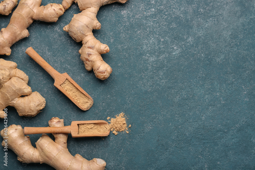 Fresh ginger roots and wooden scoops with dried powder on blue background