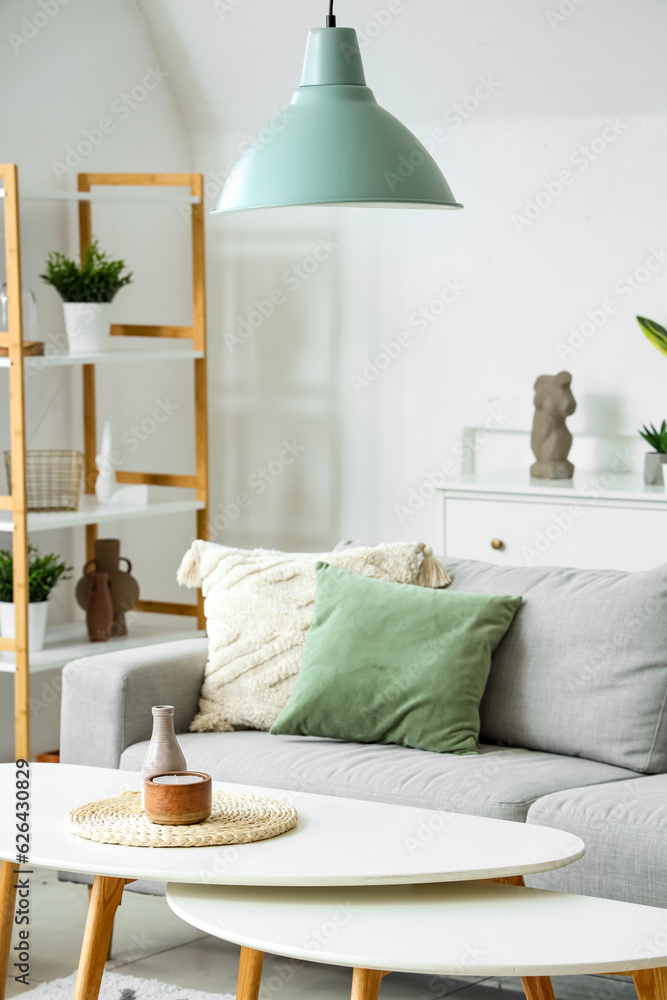 Interior of modern living room with sofa, coffee tables and plants