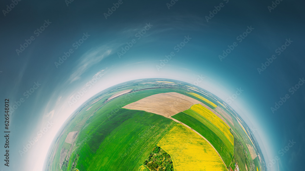 Aerial View Green Countryside Rural Yellow Canola Colza Field Meadow Landscape Sunny Spring Day. Top