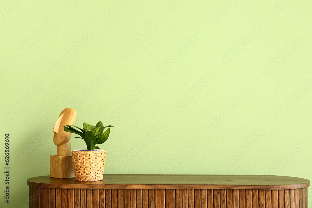 Houseplant with decor on shelf near green wall