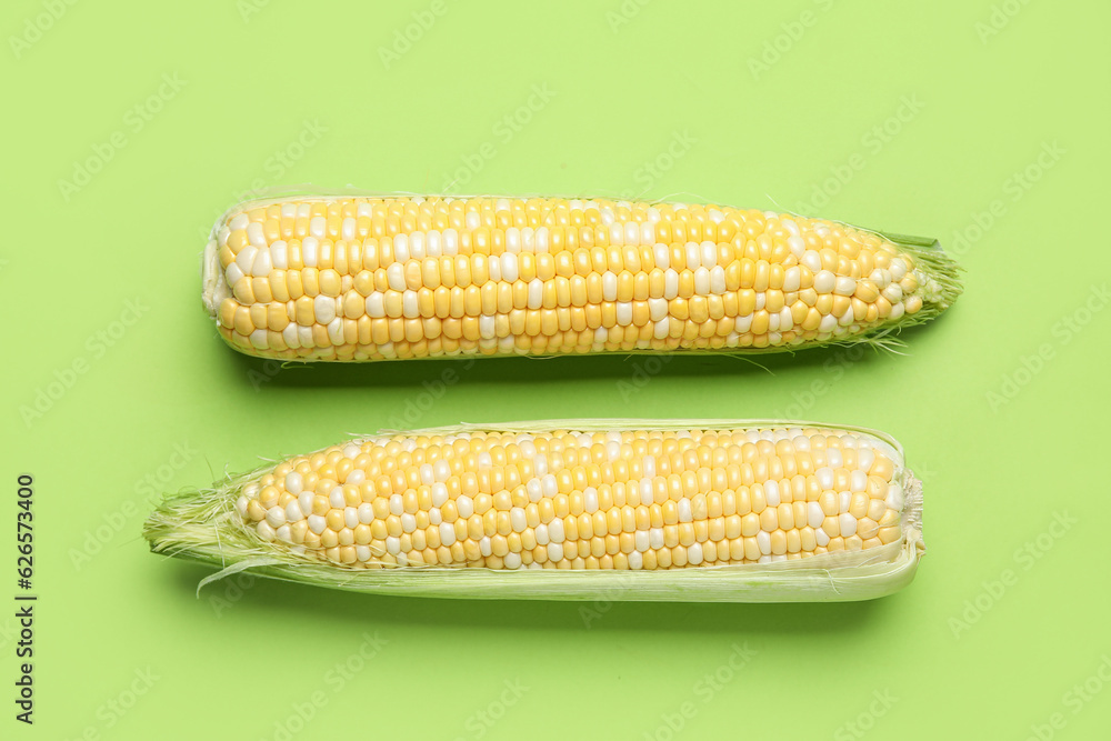 Fresh corn cobs on green background