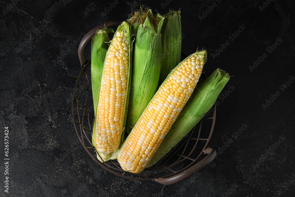 Basket with fresh corn cobs on black background