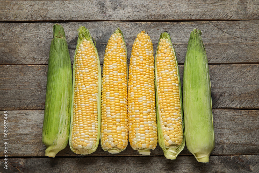 Fresh corn cobs on wooden background