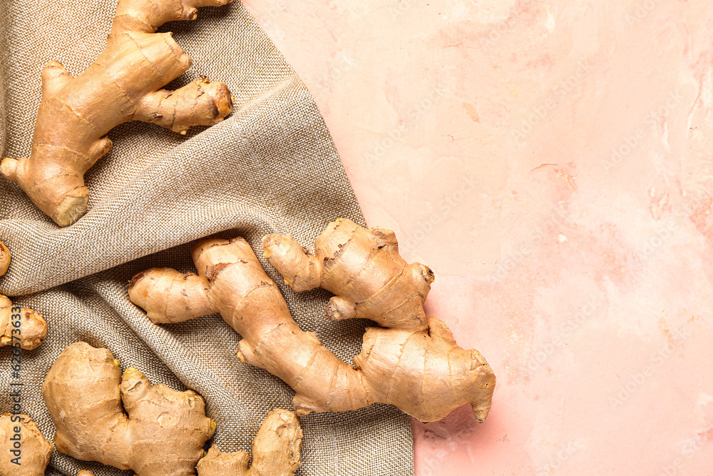 Fresh ginger roots on pink background