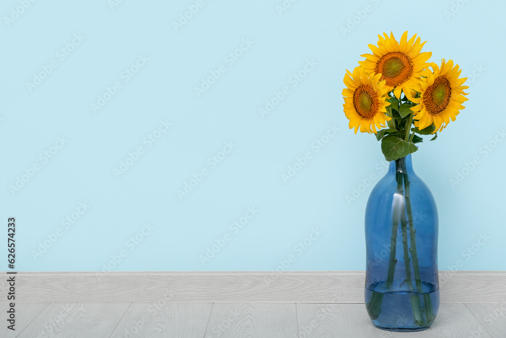 Vase with beautiful sunflowers on floor near blue wall in room