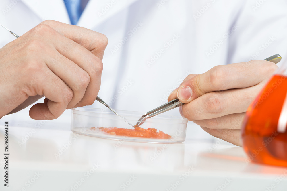 Researching food sample with tweezers