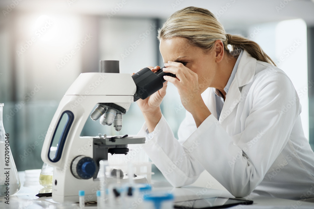 Taking a closer look. Cropped shot of an attractive mature female scientist using a microscope while