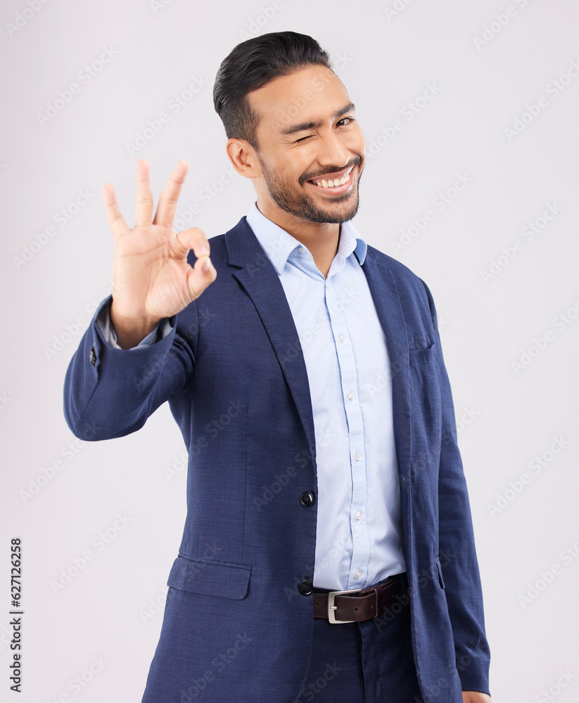 Wink, portrait and asian man with perfect hand sign for support, agreement or feedback, thank you or