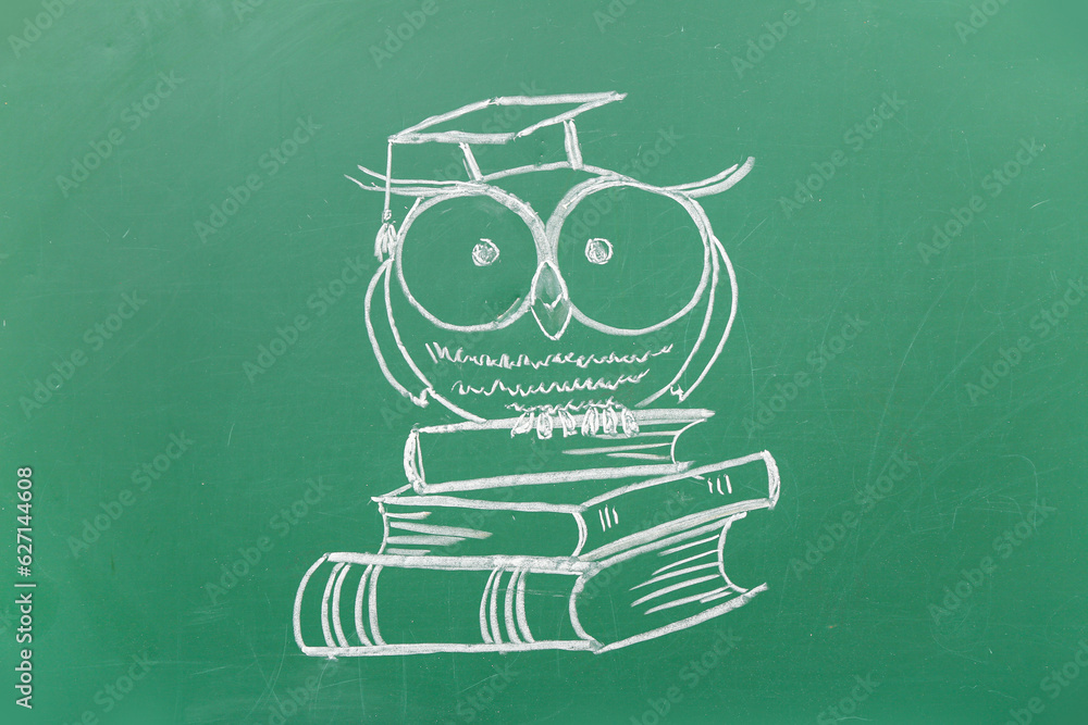 Drawn owl with books on green chalkboard