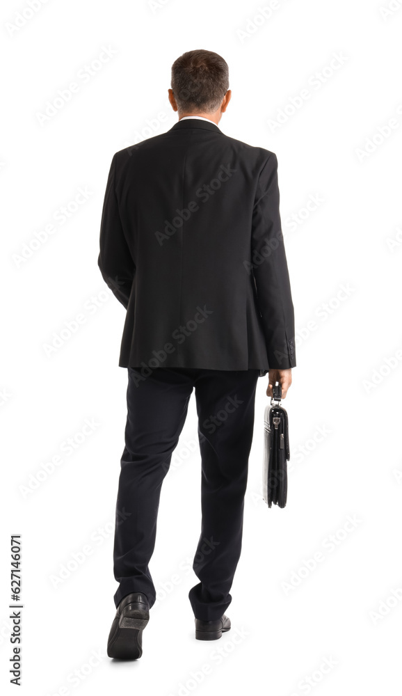 Mature businessman with briefcase walking away on white background, back view