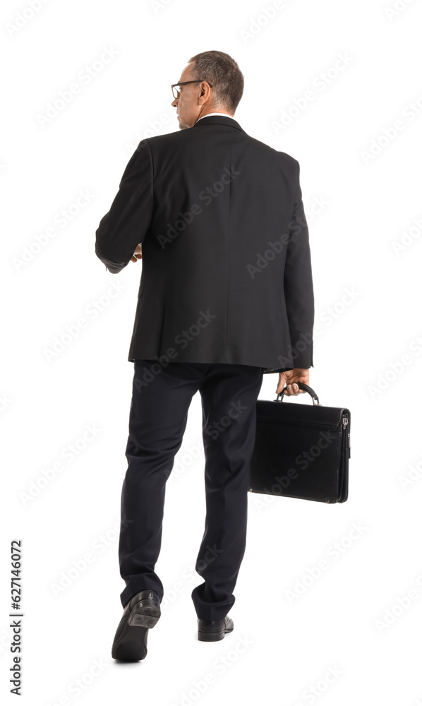 Mature businessman with briefcase walking away on white background, back view