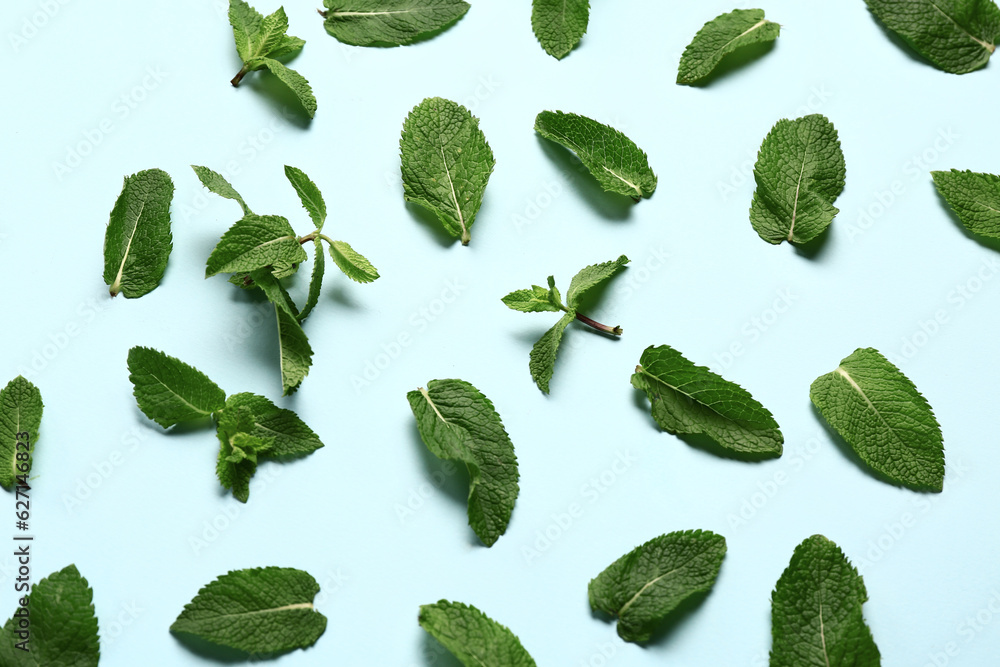 Composition with fresh mint leaves on color background