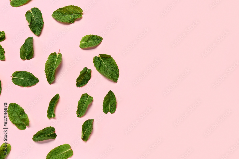 Composition with fresh mint leaves on pink background