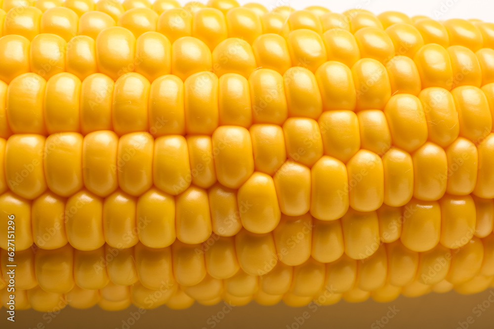 Fresh corn cob on white background, closeup