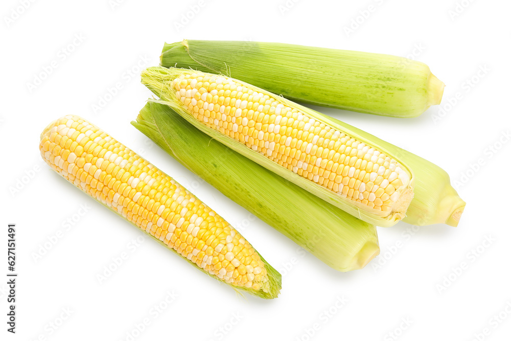 Fresh corn cobs on white background