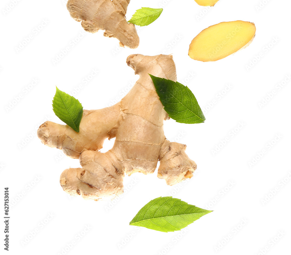 Flying fresh ginger roots and leaves on white background