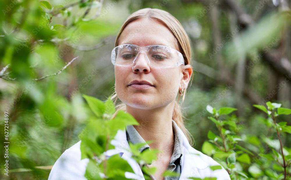 Scientist woman, plants and field research with focus, outdoor and glasses for safety, analysis and 