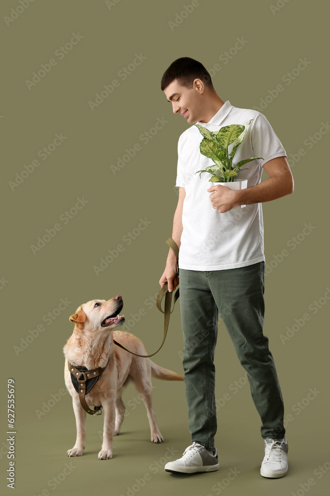 Young man with houseplant and cute Labrador dog walking on green background