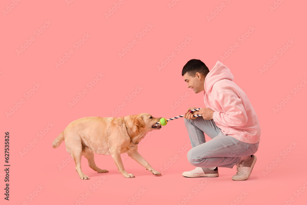 Young man playing with cute Labrador dog on pink background