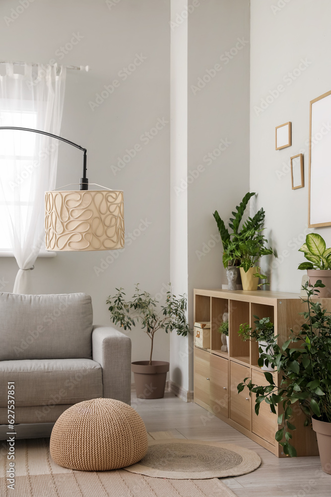 Interior of living room with sofa, lamp and houseplants