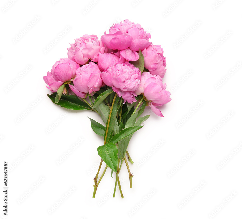 Bouquet of pink peony flowers on white background