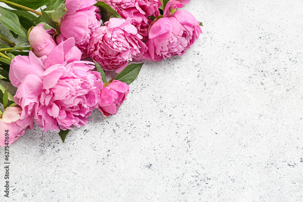 Pink peony flowers on light background